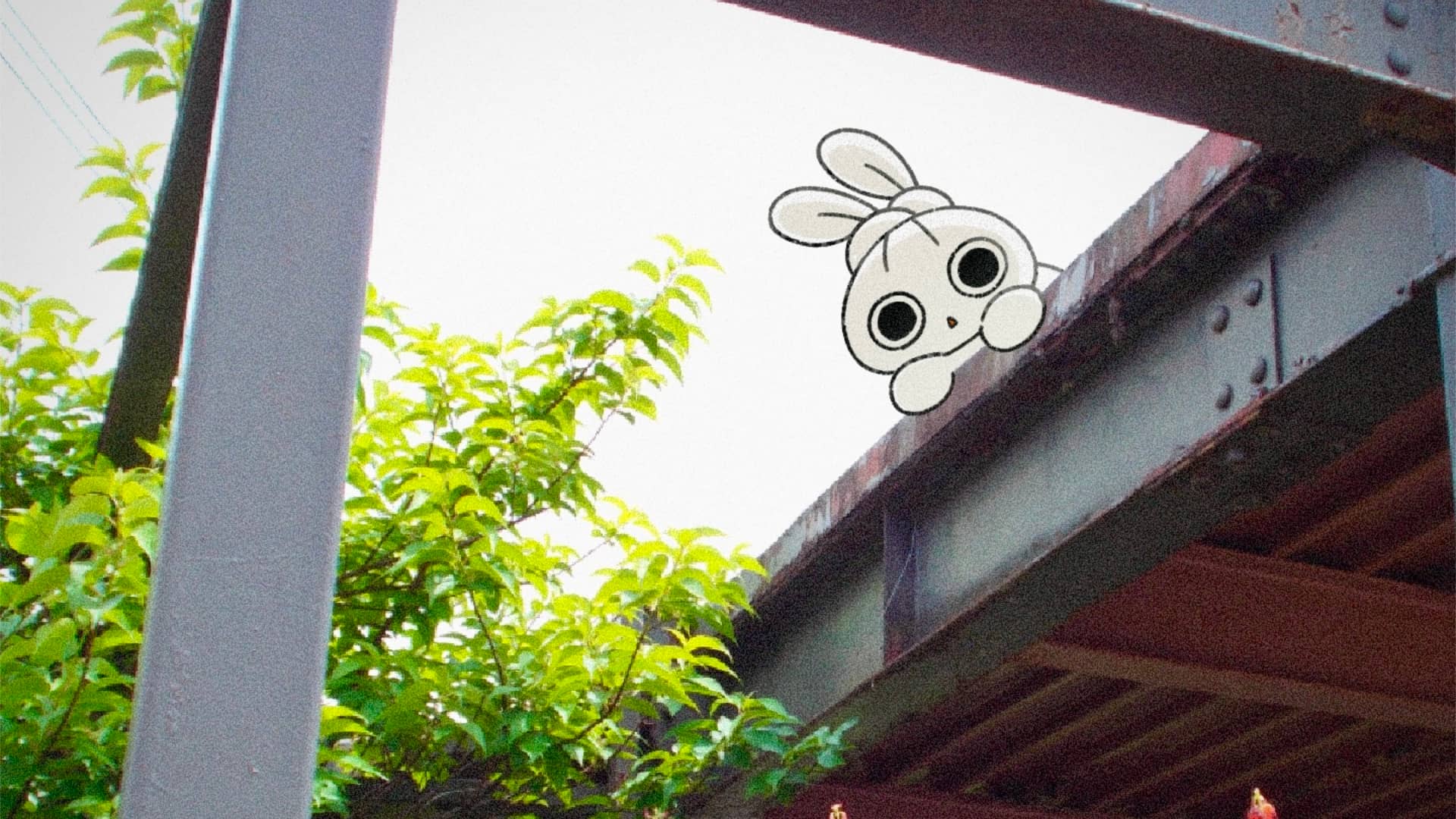 shotaimai_web_4